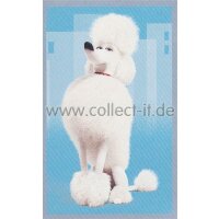 Sticker 67 - Pets Movie - Panini