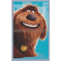 Sticker 80 - Pets Movie - Panini