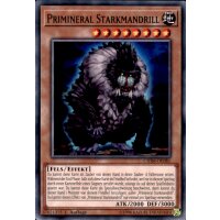 CHIM-DE081 - Primeral Starkmandrill