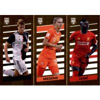 Sticker 10 - De Ligt - Miederna - Mane