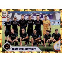 Sticker 445 - Team Wellington FC