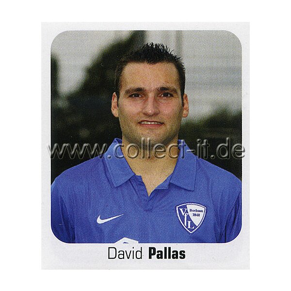 Bundesliga 2006/2007 - Sticker 101 - David Pallas