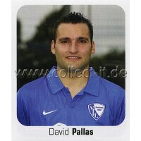 Bundesliga 2006/2007 - Sticker 101 - David Pallas