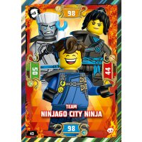 43 - Team Ninjago City Ninja - Helden Karte - Serie 5