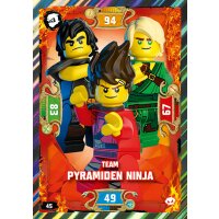 45 - Team Npyramiden Ninja - Helden Karte - Serie 5