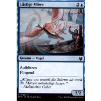 THB-079 - Lästige Möwe