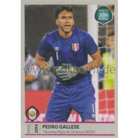 Road to WM 2018 Russia - Sticker 385 - Pedro Gallese