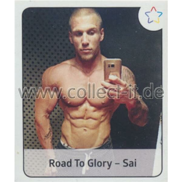 Sticker 90 - Panini - Webstars 2017 - Road to Glory -Sai