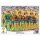 WM 2014 - Sticker 166 - Australien Team