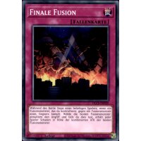 DLCS-DE020 Finale Fusion Common