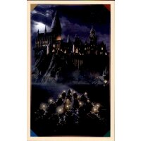 Sticker 14 - Harry Potter Saga - 2020 Hybrid