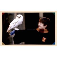 Sticker 18 - Harry Potter Saga - 2020 Hybrid