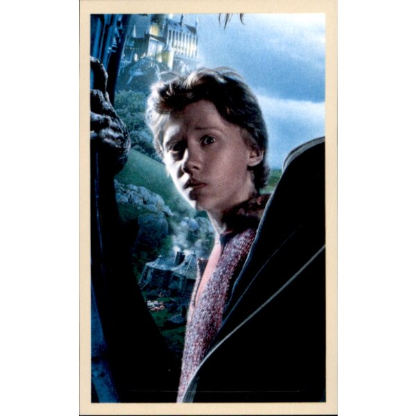 Sticker 53 - Harry Potter Saga - 2020 Hybrid