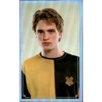 Sticker 95 - Harry Potter Saga - 2020 Hybrid