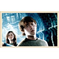 Sticker 112 - Harry Potter Saga - 2020 Hybrid