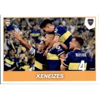 Sticker 348 - Boca Juniors - Xeneizes
