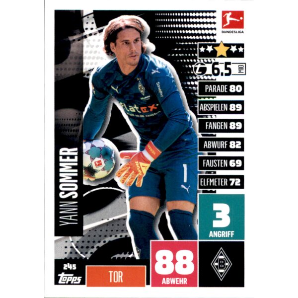 245 - Yann Sommer  - 2020/2021