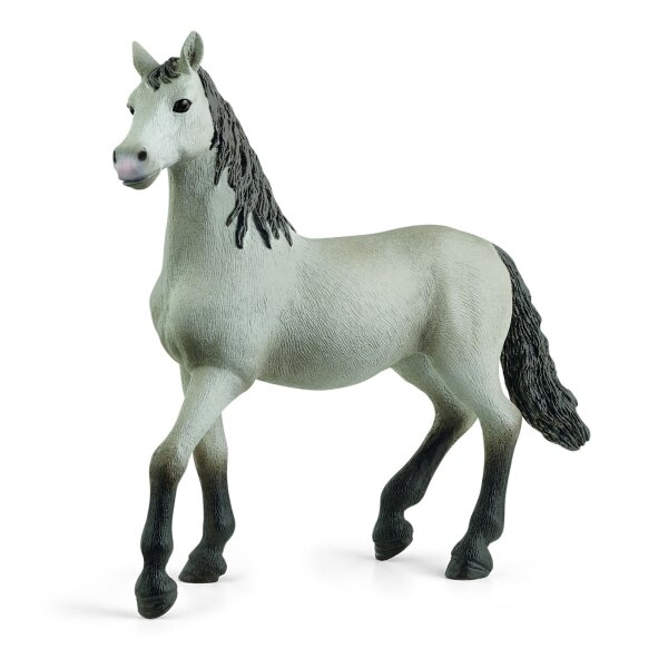 Schleich Horse Club 13924 - Pura Raza Española Jungpferd