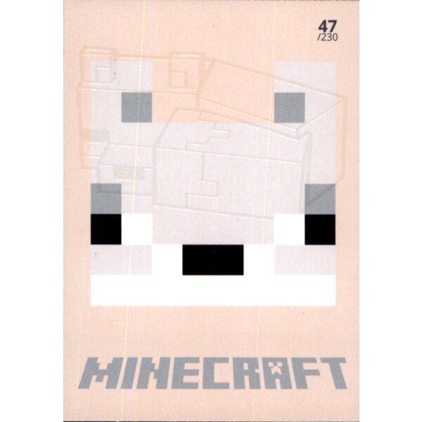 Karte 47 - Minecraft 2021