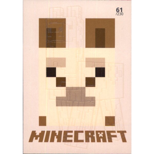 Karte 61 - Minecraft 2021