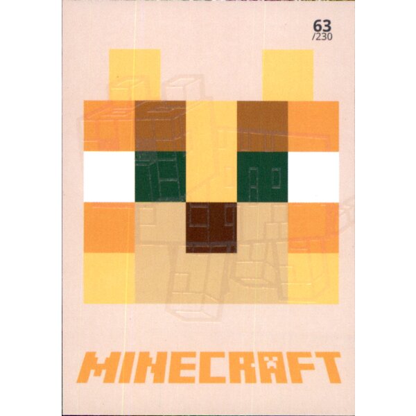 Karte 63 - Minecraft 2021