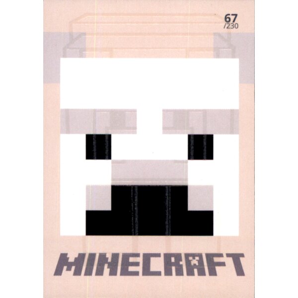 Karte 67 - Minecraft 2021