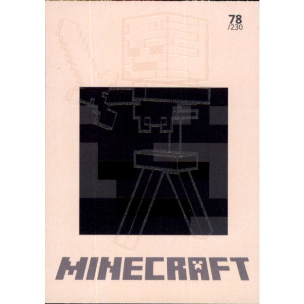 Karte 78 - Minecraft 2021