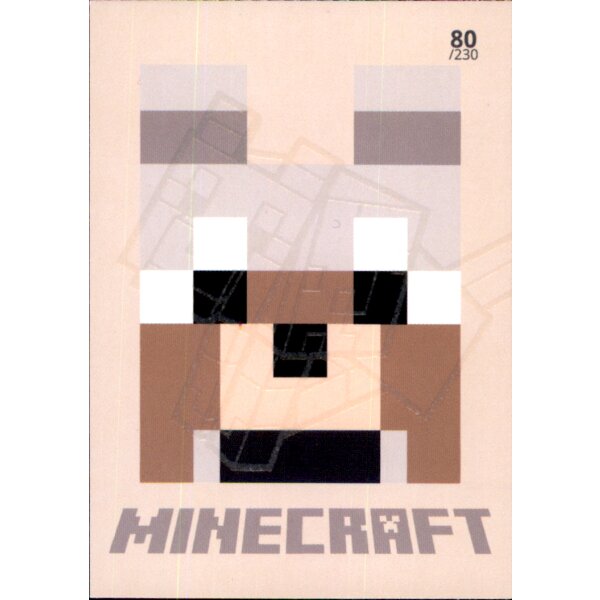 Karte 80 - Minecraft 2021