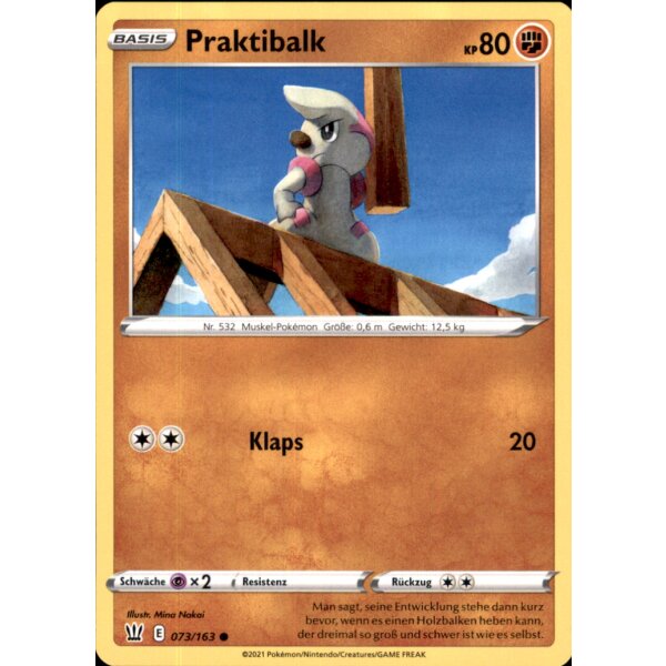 073/163 - Praktibalk - Common