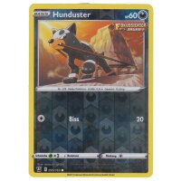 095/163 - Hunduster - Reverse Holo