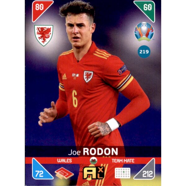 219 - Joe Rodon - Team Mate - 2021