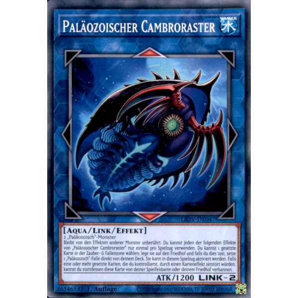 LIOV-DE047 - Paläozoischer Cambroraster - 1. Auflage