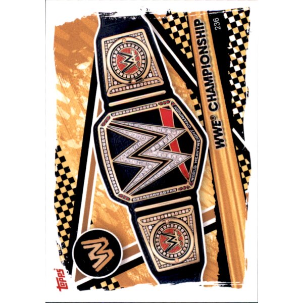 236 - WWE - Championship - 2021