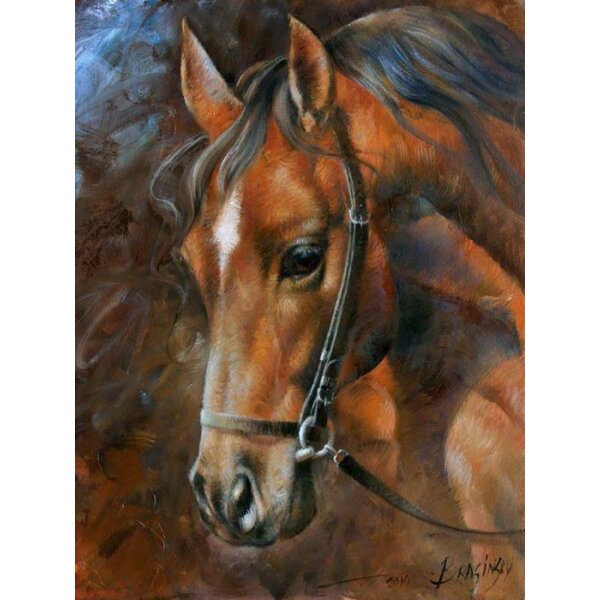 Diamond Painting Pferd 40x30 cm