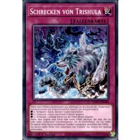 SDFC-DE046 - Schrecken von Trishula - Common