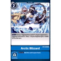 BT2-094 - Arctic Blizzard - Common