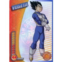 19 - Vegeta - 2021