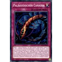 SDCS-DE039 - Paläozonischer Canadia