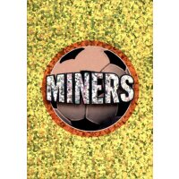 Sticker 333 Miners