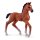 Schleich Horse Club 13947 - Oldenburger Fohlen