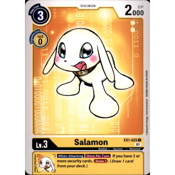 EX1-025 - Salamon - Common