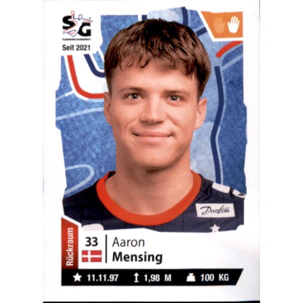 Handball 2021/22 Hybrid - Sticker 29 - Aaron Mensing