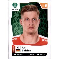 Handball 2021/22 Hybrid - Sticker 96 - Joel Birlehm