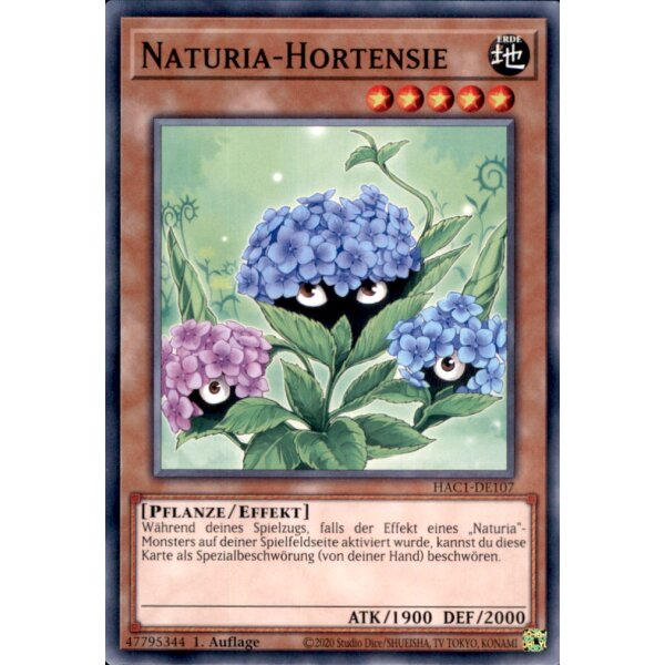 HAC1-DE107 - Naturia-Hortensie - Common