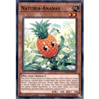 HAC1-DE118 - Naturia-Ananas - Common