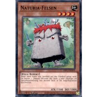 HAC1-DE103 - Naturia-Felsen - Duel Terminal Common