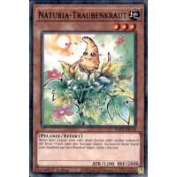 HAC1-DE114 - Naturia-Traubenkraut - Duel Terminal Common