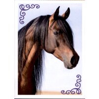 Sticker 12 - Blue Ocean - Horse Club Lieblingspferde