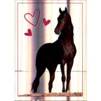 Sticker 16 - Blue Ocean - Horse Club Lieblingspferde