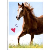 Sticker 17 - Blue Ocean - Horse Club Lieblingspferde